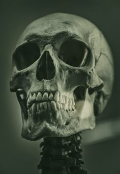 skeleton-kleurplaat-gratis-13