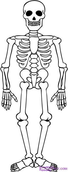 skeleton-kleurplaat-gratis-3