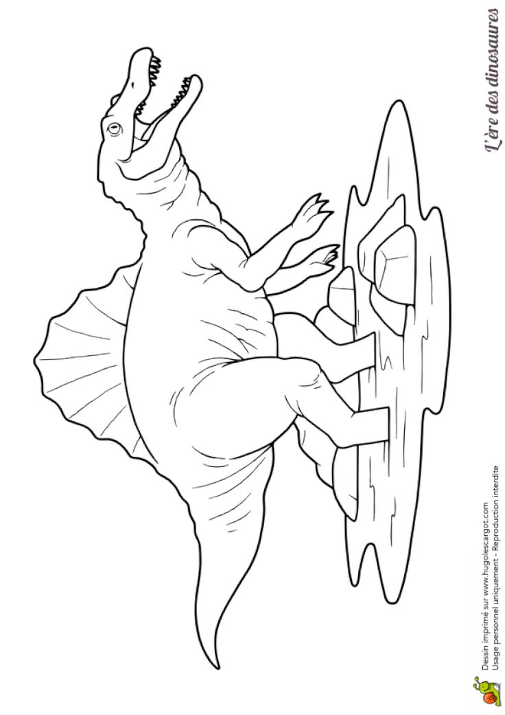 spinosaurus-kleurplaat-gratis-12