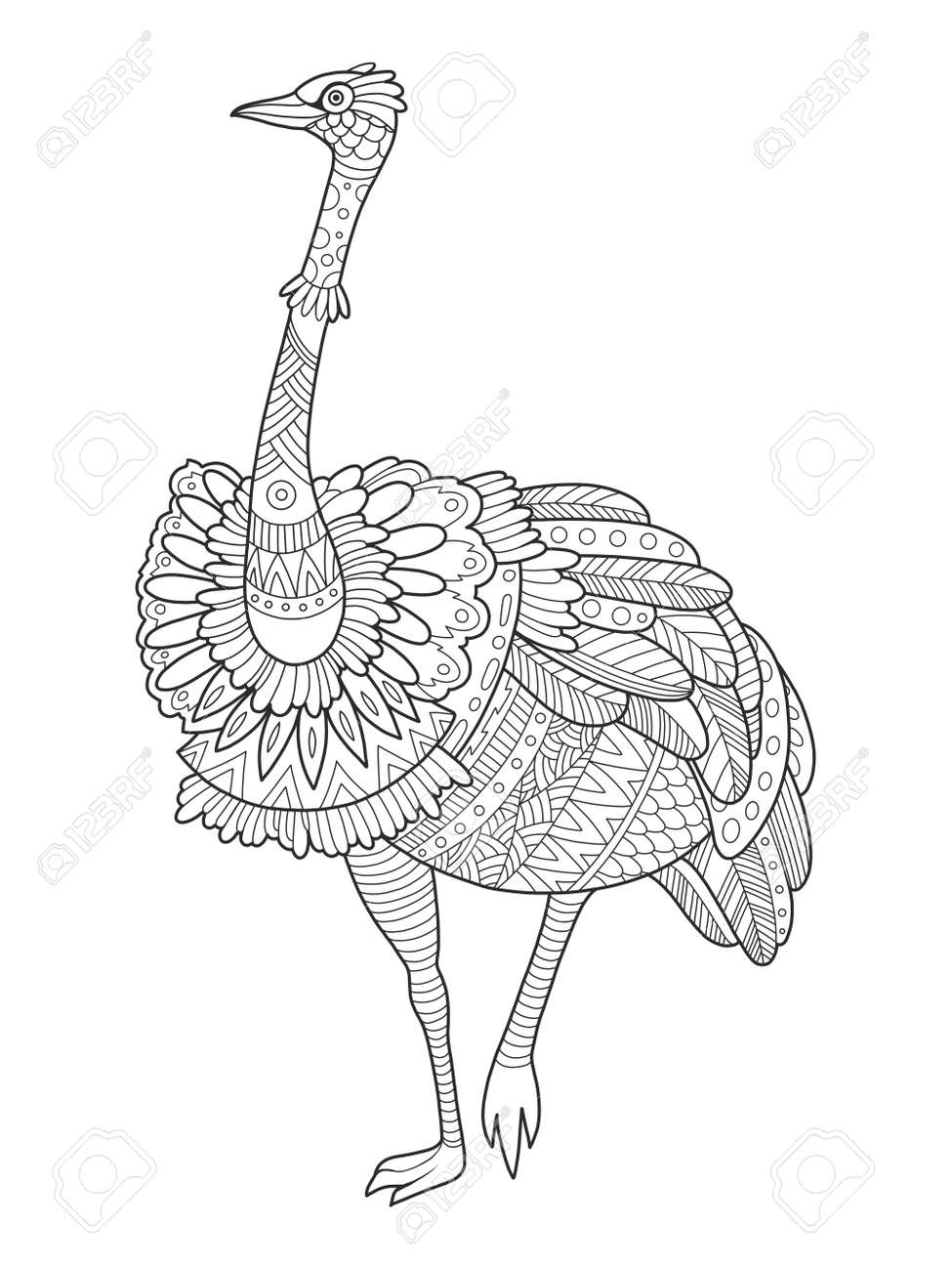 struisvogel-kleurplaat-gratis-1