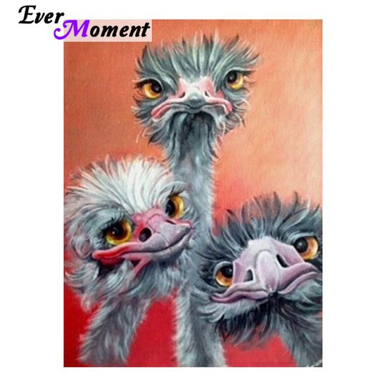 struisvogel-kleurplaat-gratis-11