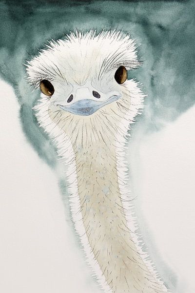 struisvogel-kleurplaat-gratis-8