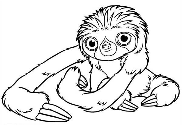 the croods-kleurplaat-gratis-15