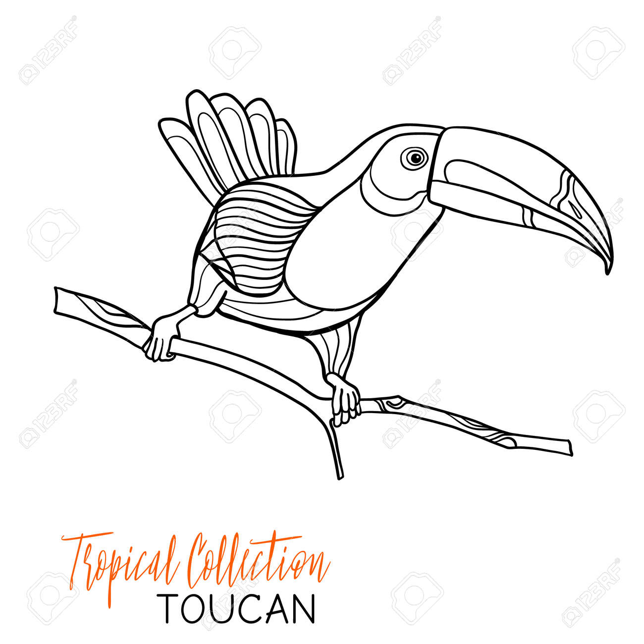 toekan-kleurplaat-gratis-3