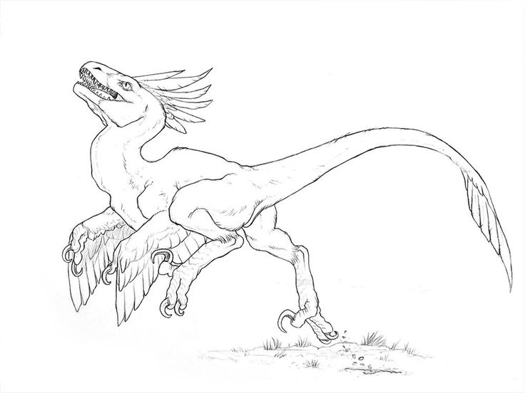 utahraptor-kleurplaat-gratis-1