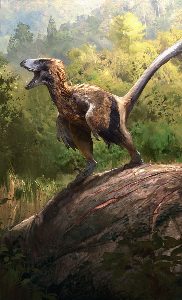 utahraptor-kleurplaat-gratis-11