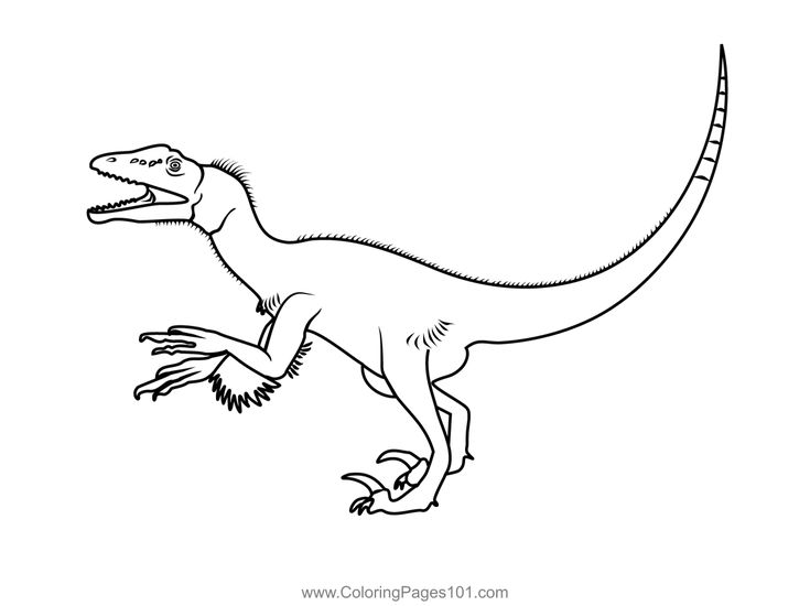 utahraptor-kleurplaat-gratis-2