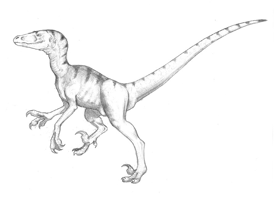utahraptor-kleurplaat-gratis-9