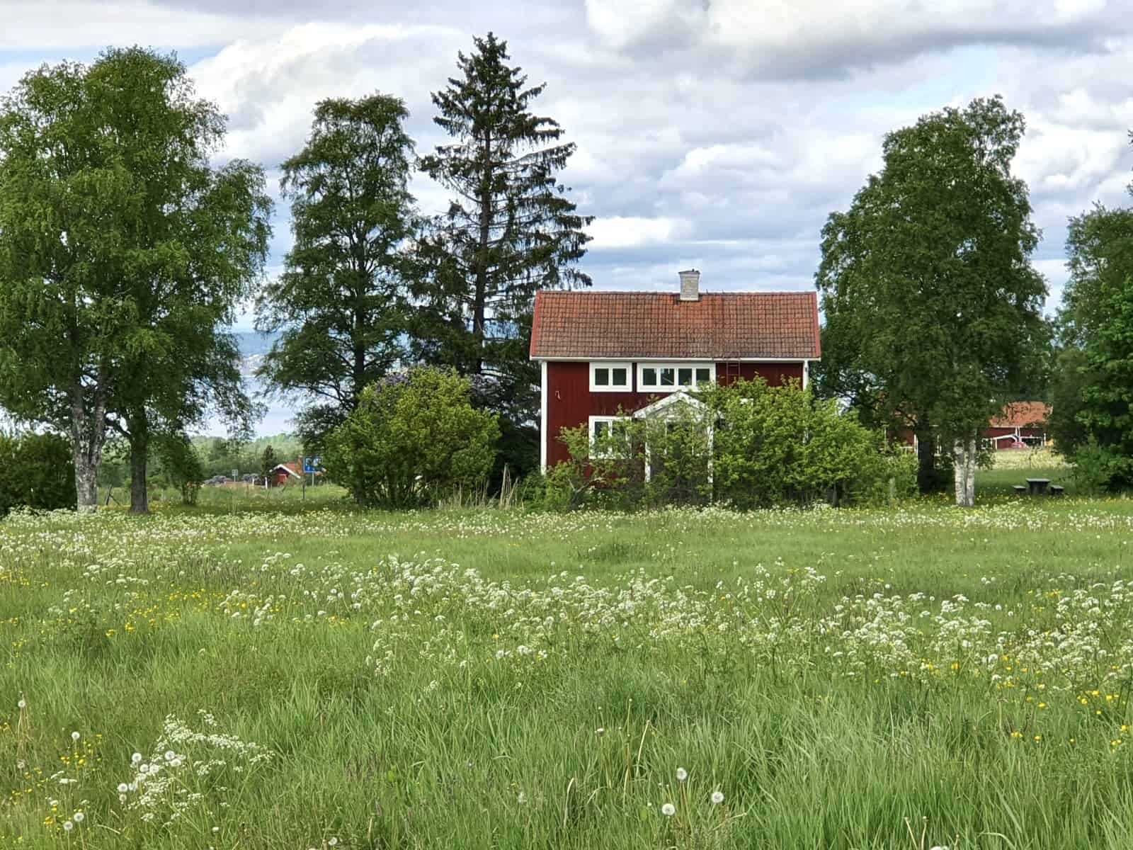 zweden-kleurplaat-gratis-10